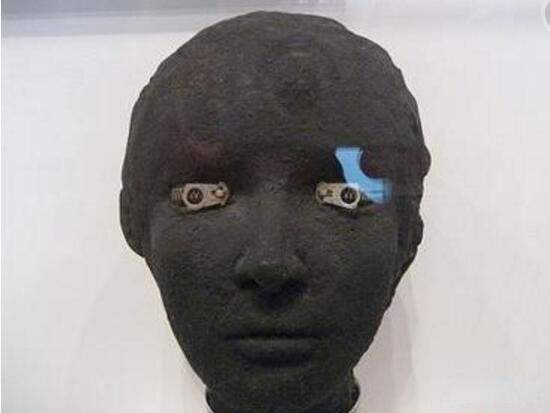 ����˵����ֲ�һ�� ��ֲ���ɱ�˰���������˭