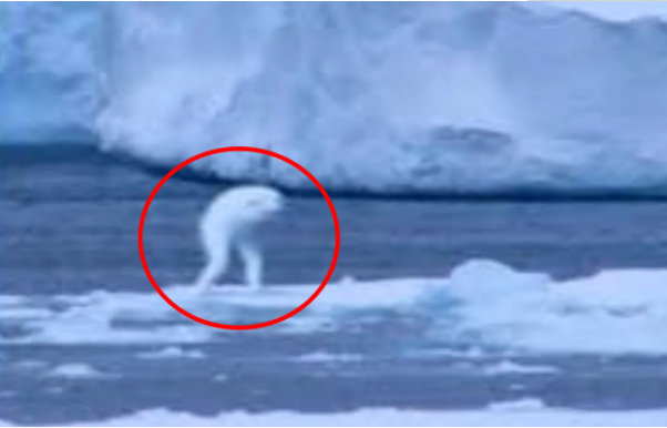 �ϼ�����8����ǰСŮ�� 8����ǰŮ������ĸ�������