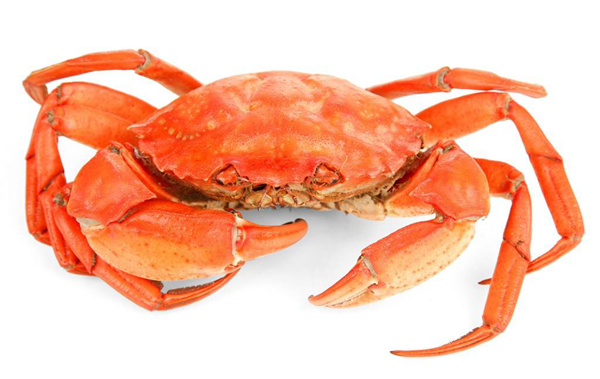 ���з���˻���ʲô��� ���з�ܳ���