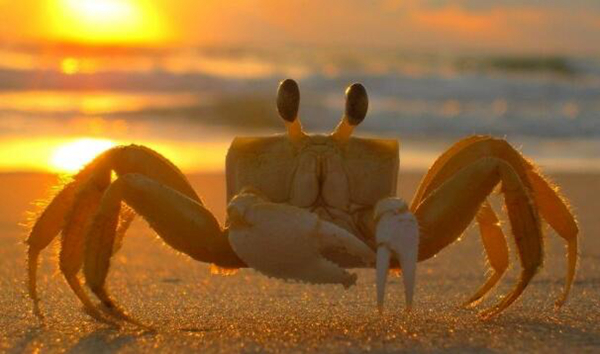 ���з���˻���ʲô��� ���з�ܳ���