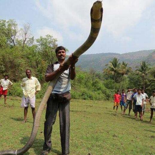 �ƽ��۾�����ʲô�� ���ж���³�ʲô����ͼƬ