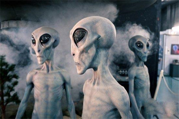 �����˸��ߵ�����������ռ�������ʲô �������������������������