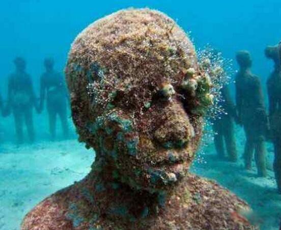 �����ŷ��ֺ�����ͼƬ�ع� ���׷���3����������