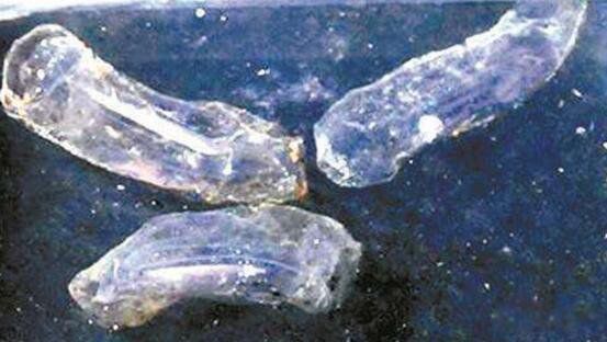 �����ŷ��ֺ�����ͼƬ�ع� ���׷���3����������