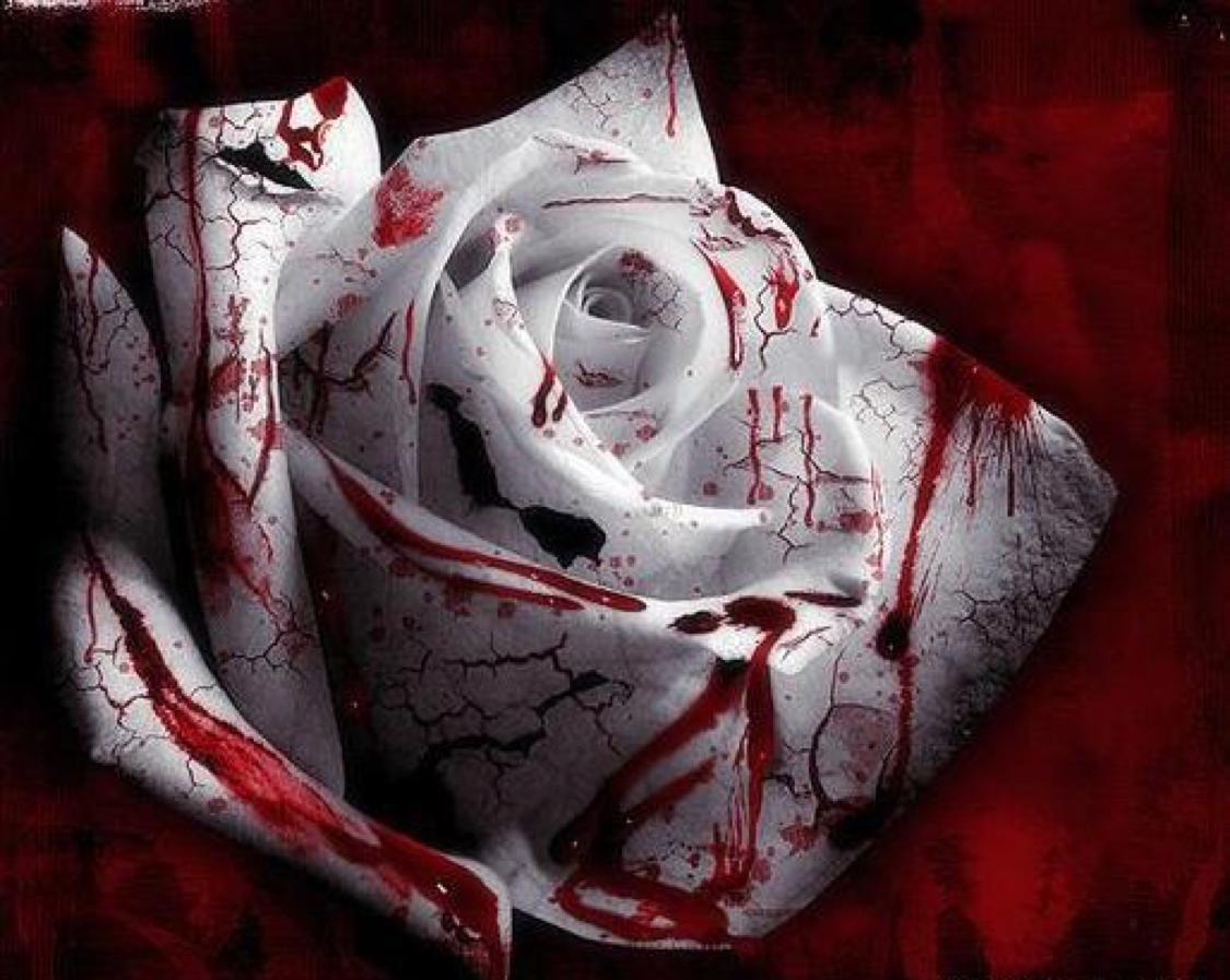 ʮ�����Ϊʲô������ ����ʮ���������Ϊ��ɱ����