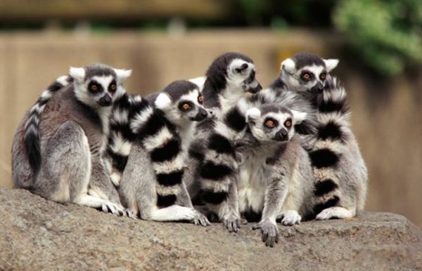 ������ʲô��˼ ���������ܶ�,��Ҫ�ص���ʲô