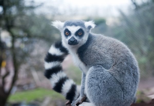 ������ʲô��˼ ���������ܶ�,��Ҫ�ص���ʲô