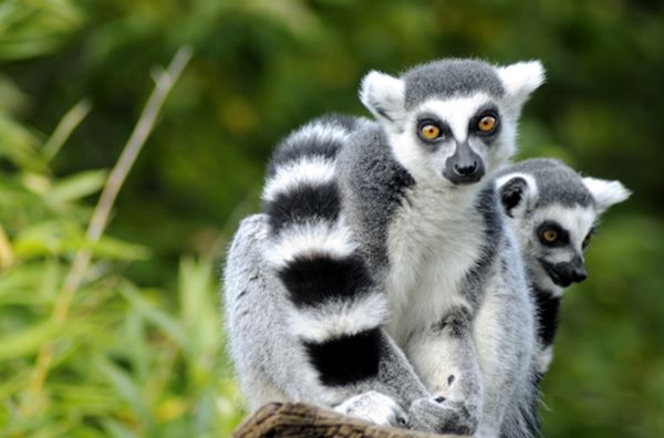 ������ʲô��˼ ���������ܶ�,��Ҫ�ص���ʲô