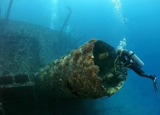 ̩̹��˺ų�û������ԭ��ľ������ʲô ��û����Ϊ����ľ������