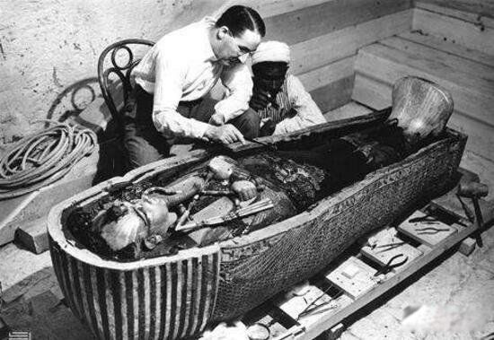 ̩̹��˺ų�û������ԭ��ľ������ʲô ��û����Ϊ����ľ������