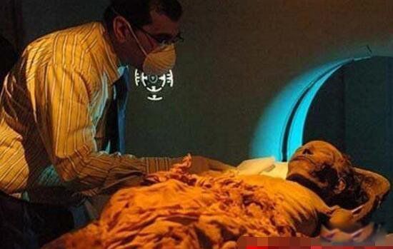 ̩̹��˺ų�û������ԭ��ľ������ʲô ��û����Ϊ����ľ������