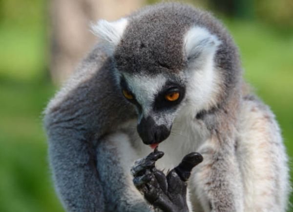 ������ʲô��˼ ���������ܶ�,��Ҫ�ص���ʲô