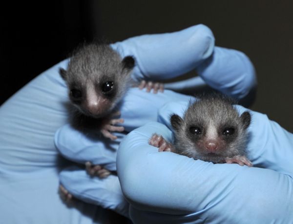 ������ʲô��˼ ���������ܶ�,��Ҫ�ص���ʲô