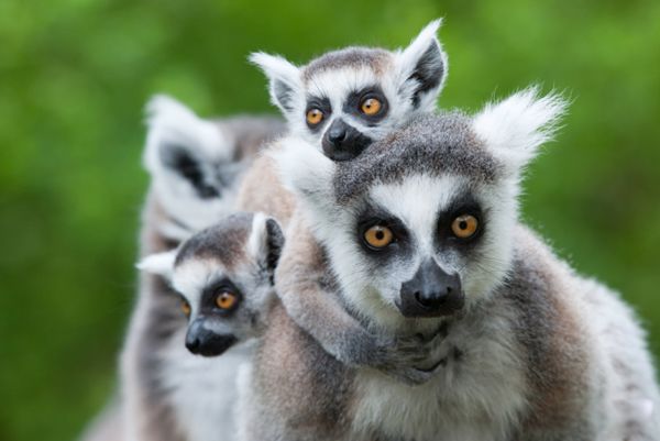 ������ʲô��˼ ���������ܶ�,��Ҫ�ص���ʲô