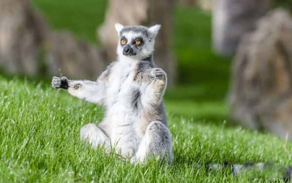 ������ʲô��˼ ���������ܶ�,��Ҫ�ص���ʲô