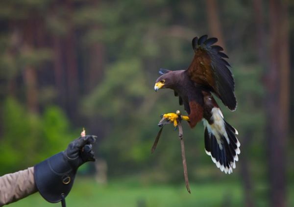 ������ʲô��˼ ���������ܶ�,��Ҫ�ص���ʲô