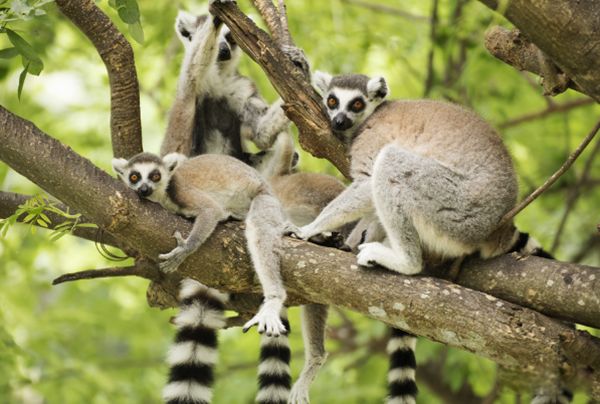 ������ʲô��˼ ���������ܶ�,��Ҫ�ص���ʲô