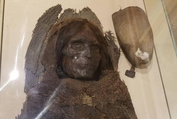 ����Ůʬ��˭ ��������Ư��������ʬ��