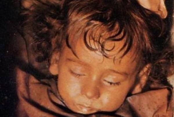 ����Ůʬ��˭ ��������Ư��������ʬ��