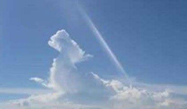 ������Ĵ����� ��������������ʵͼƬ