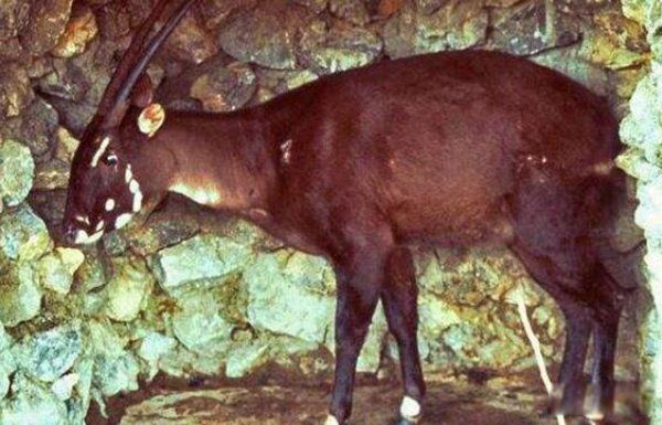 ������Ĵ����� ��������������ʵͼƬ