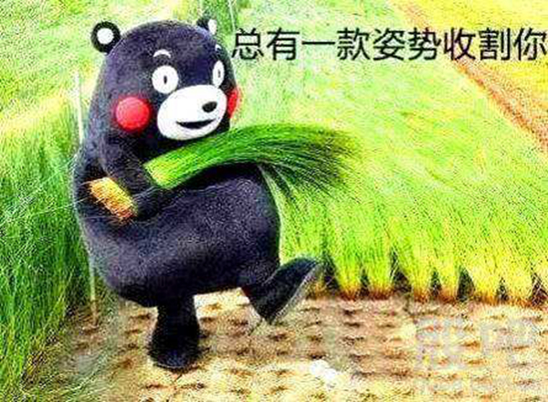 �����˱���²���ʲô��˼ ���ָ�²˵���·��ι��