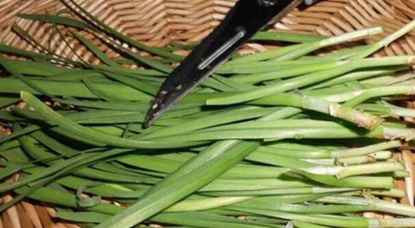 �����˱���²���ʲô��˼ ���ָ�²˵���·��ι��