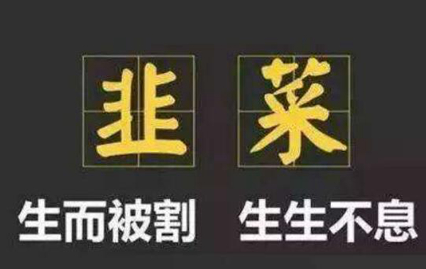 �����˱���²���ʲô��˼ ���ָ�²˵���·��ι��