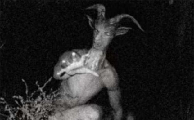 ɽ������Ĵ����� ���һֱ�����ſֲ�ɽ���˴�˵