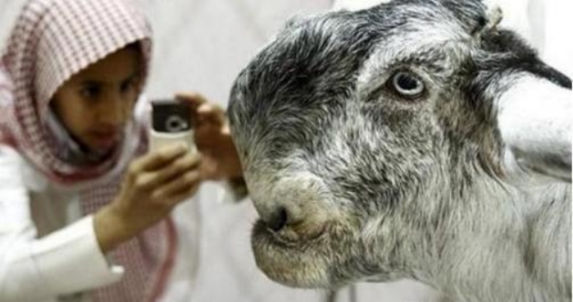 ɽ������Ĵ����� ���һֱ�����ſֲ�ɽ���˴�˵