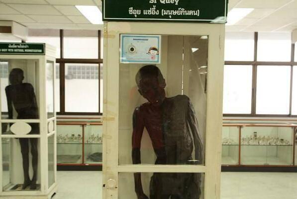 ̩��ʳ��ħϸΰ��ʬ ��̩�������ɸ�ʬ��ϸΰ