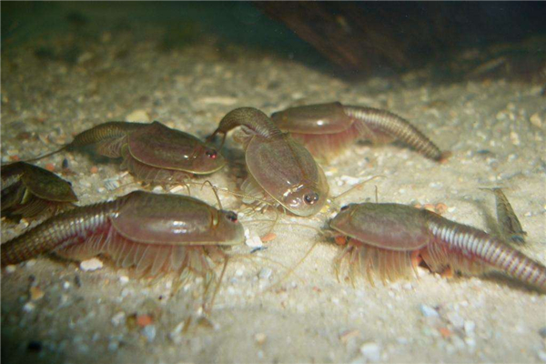 ���ۿ���Ϻ��ʲô����ͼƬ ���ڶ�������ǰ������