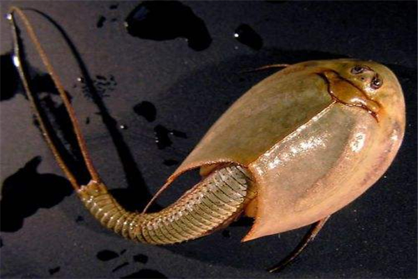 ���ۿ���Ϻ��ʲô����ͼƬ ���ڶ�������ǰ������