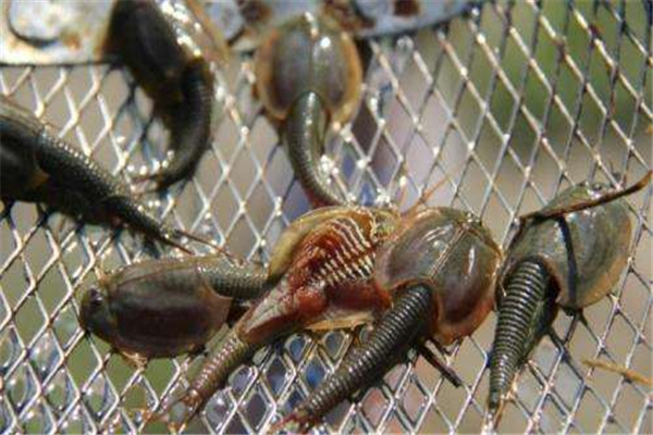 ���ۿ���Ϻ��ʲô����ͼƬ ���ڶ�������ǰ������