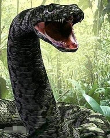 �߶ɽٳ����¼� �������������¼�����ʼĩ