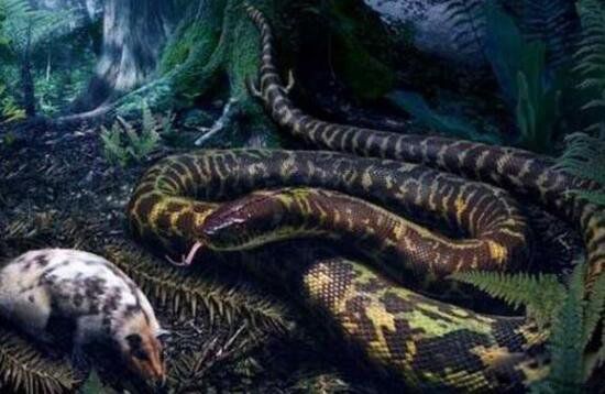 �߶ɽٳ����¼� �������������¼�����ʼĩ