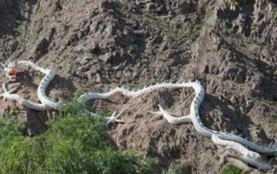 �߶ɽٳ����¼� �������������¼�����ʼĩ