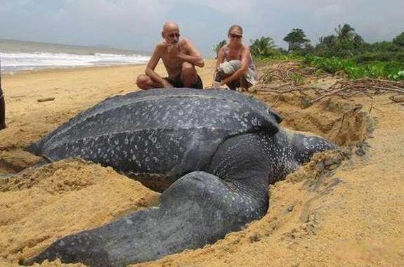 ���ĺ����ж����ж��ͼƬ ���������ĺ����ʲô����