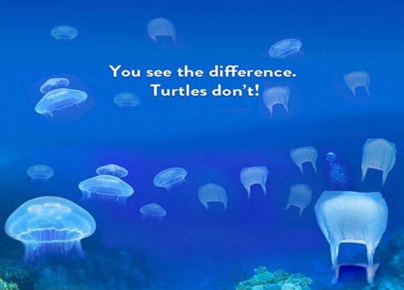 ���ĺ����ж����ж��ͼƬ ���������ĺ����ʲô����