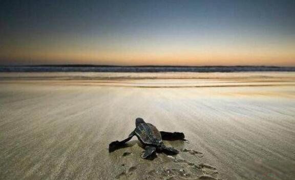 ���ĺ����ж����ж��ͼƬ ���������ĺ����ʲô����