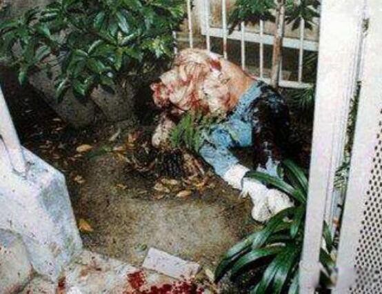 ����ɭɱ�ް������ҵ�û�� ��������ɭɱ�ް��������