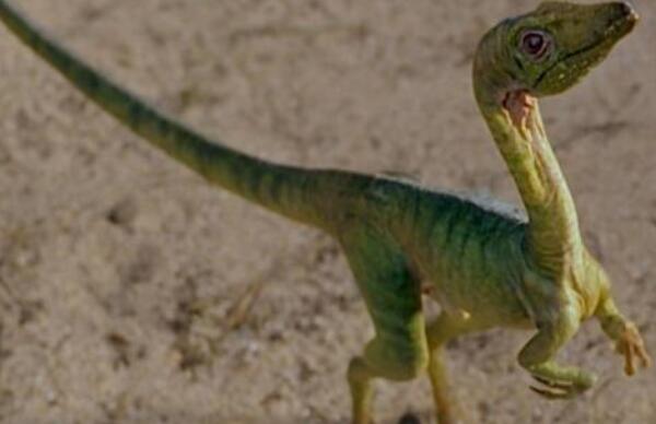 ����˫ǻ�������������Ŀ����� ��������ʮ���������