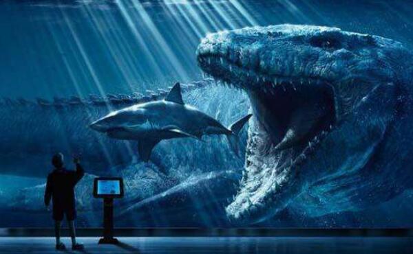 ����˫ǻ�������������Ŀ����� ��������ʮ���������