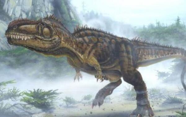 ����˫ǻ�������������Ŀ����� ��������ʮ���������