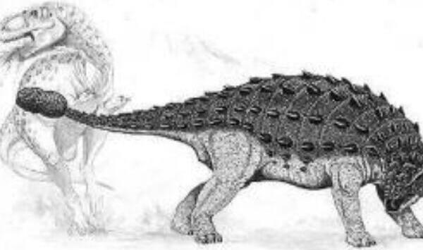 ����˫ǻ�������������Ŀ����� ��������ʮ���������