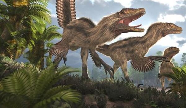 ����˫ǻ�������������Ŀ����� ��������ʮ���������