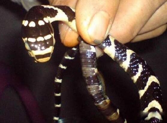 ���������й�������� ��������ʲô��ʲô���ӵ�