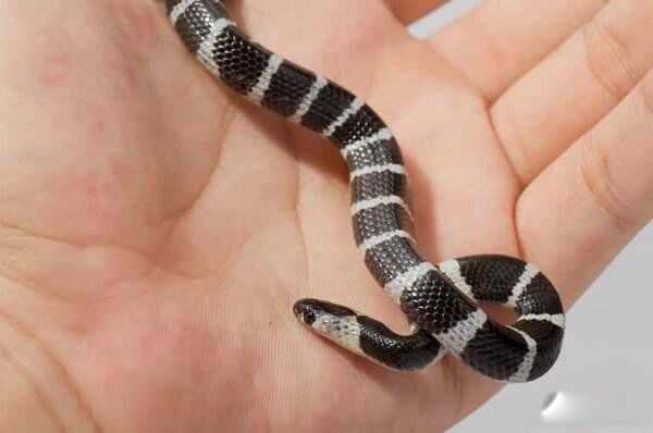 ���������й�������� ��������ʲô��ʲô���ӵ�