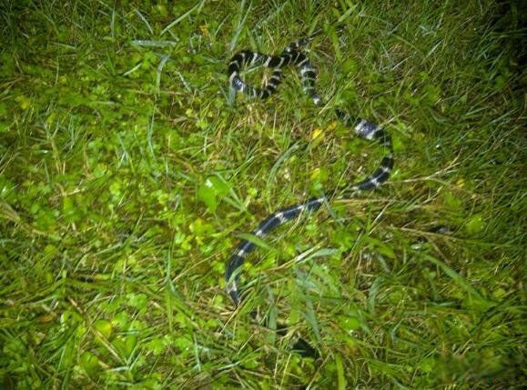 ���������й�������� ��������ʲô��ʲô���ӵ�