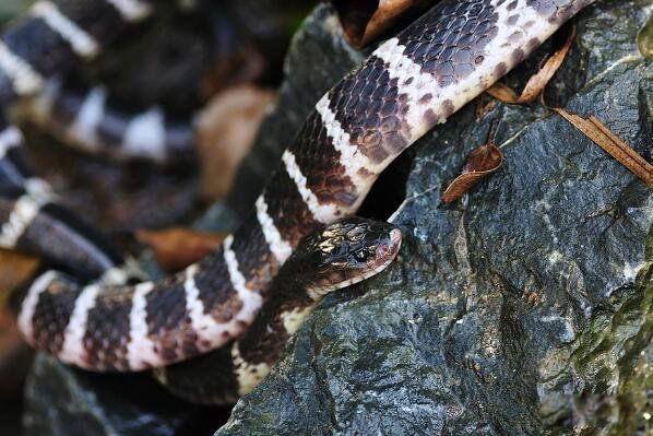 ���������й�������� ��������ʲô��ʲô���ӵ�